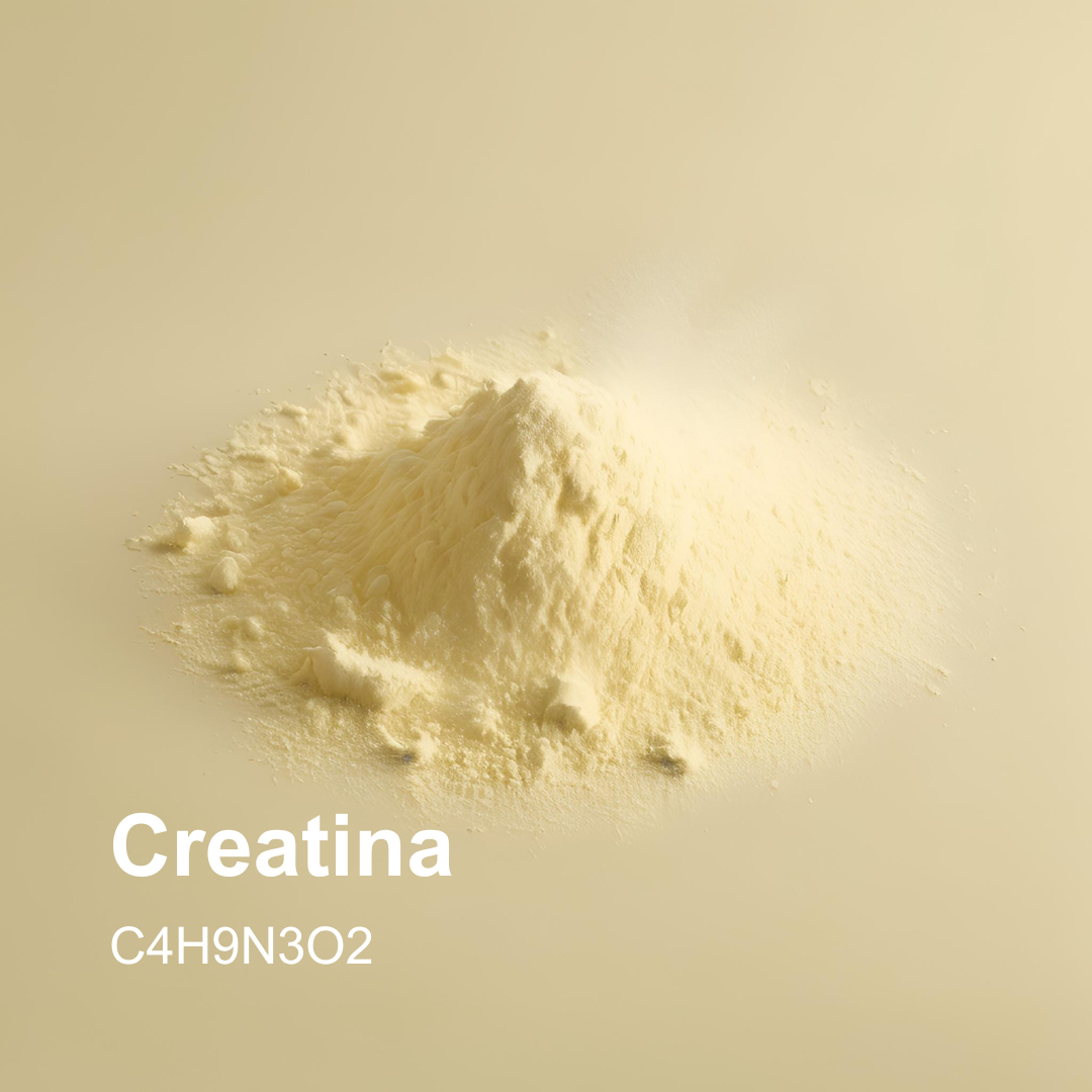 Creatina